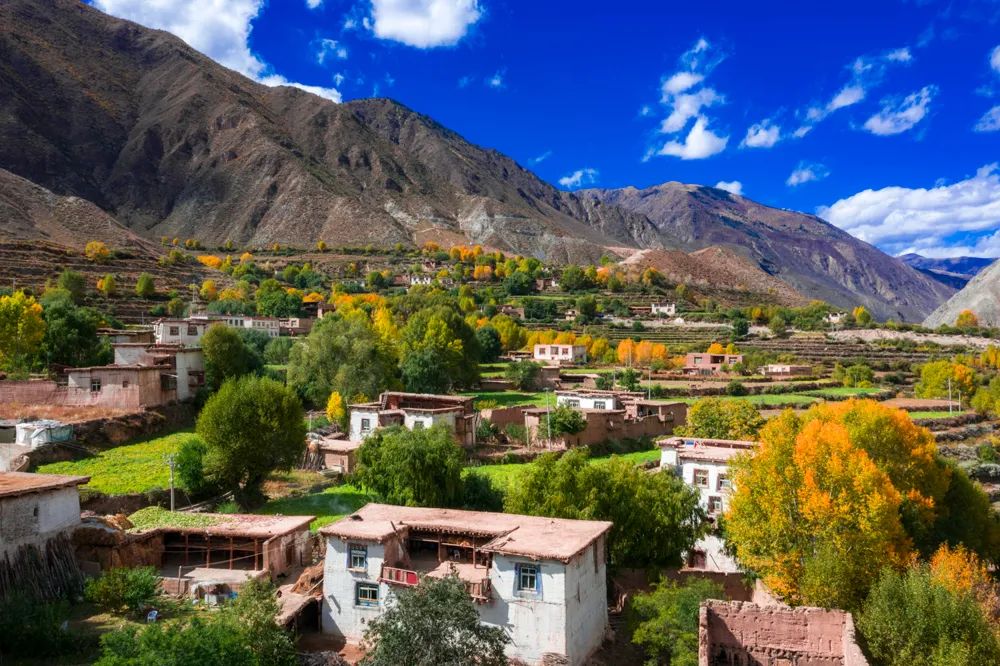 吉塘秋色(察雅县)&nbsp;齐齐格果果 摄