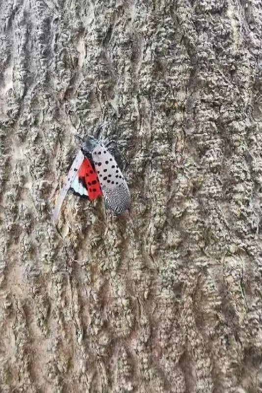 到上海长宁生境花园去,过不一样的暑假