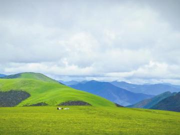 打造"中国最美高原景观大道" 直击国道318线