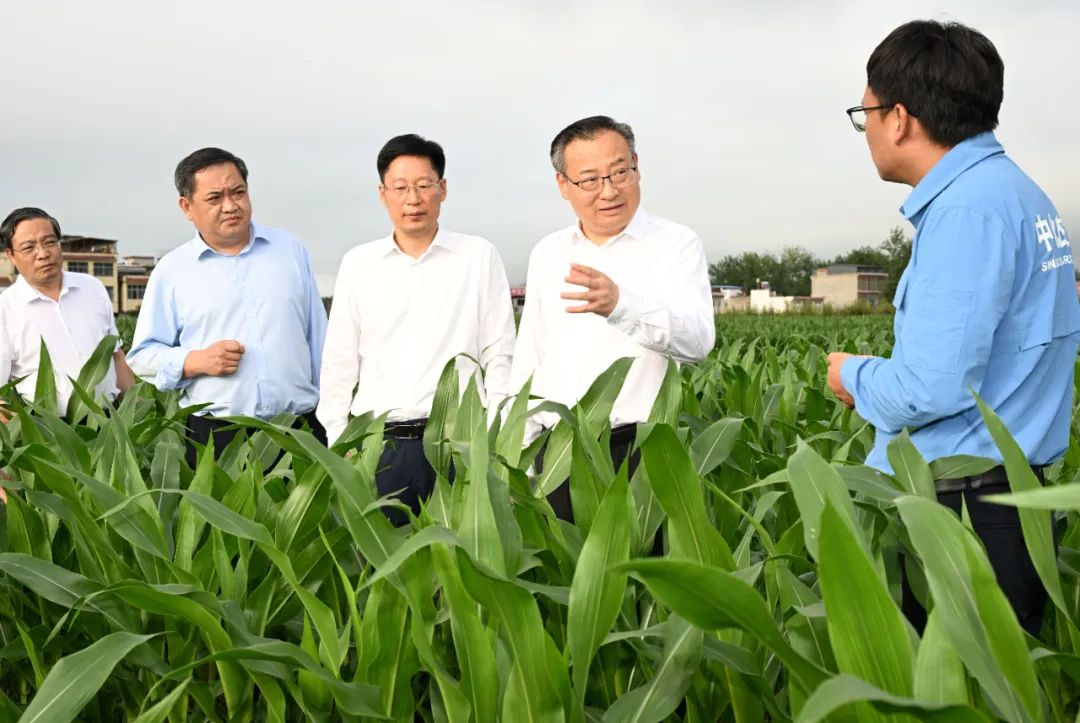 7月12日,省委书记梁言顺在阜南县苗集镇中化现代农业安徽有限公司阜南