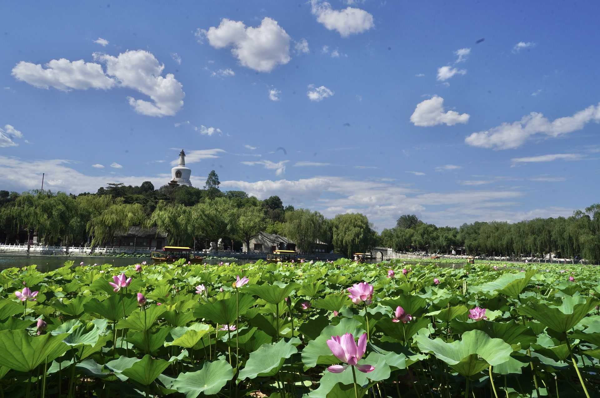 明日起至8月底,北京市属公园园中园及博物馆周一也开放接客