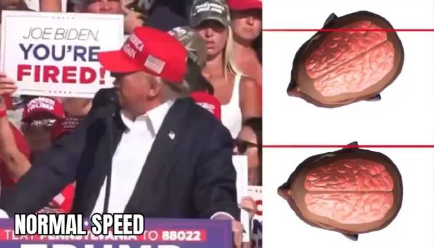 唐纳德-特朗普(Donald Trump)说,子弹擦过他的耳朵时…|特朗普|唐纳德|Trump_新浪新闻