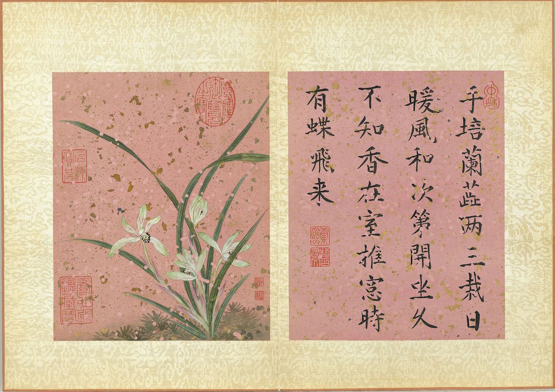 清　蒋廷锡　画群芳撷秀 纸本（局部）