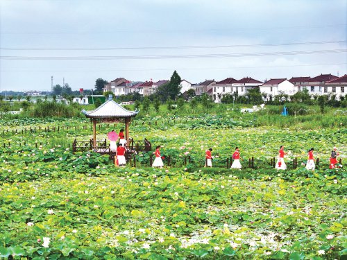 园内建设了石磨走道,木质长廊,水上浮桥等设施,还配套