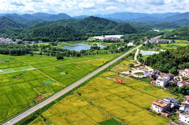 俯瞰江西省赣州市全南县陂头镇正河村的生态画卷.