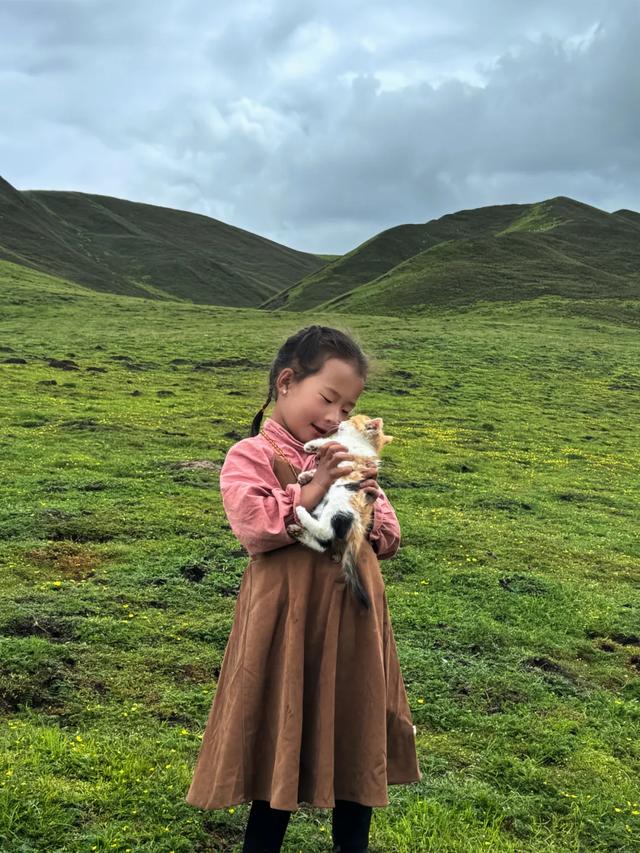 在新疆阿勒泰,趁着6月的黄金时间,共有2万户牧民和40余万头(只)牲畜