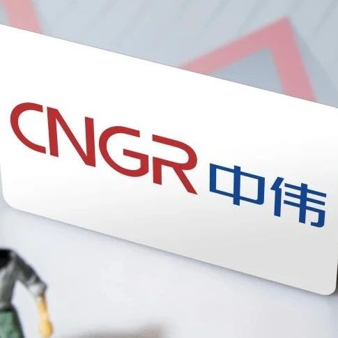 中伟股份市占率27% 上半年四系产品销售量14万吨增15%|三元|净利润|镍_新浪新闻