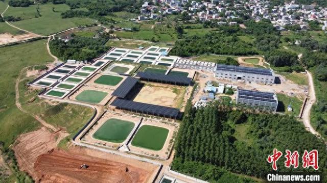 海南东方发展特色产业助振兴