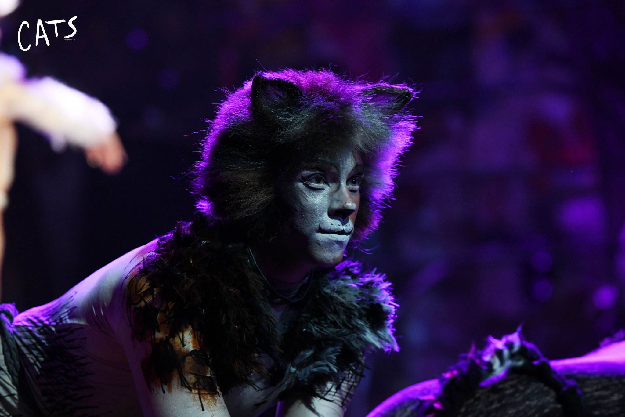 音乐剧《猫》演出剧照