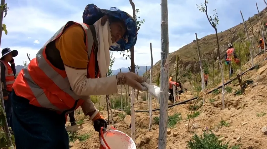 便匆匆忙忙出发了再戴上围脖,帽子阿佳白珍快速简单涂抹了一下她的
