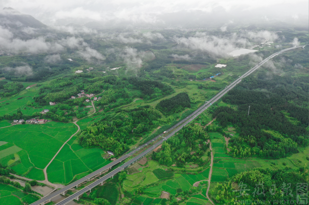 华川村是旌德县林长制改革的一个缩影.