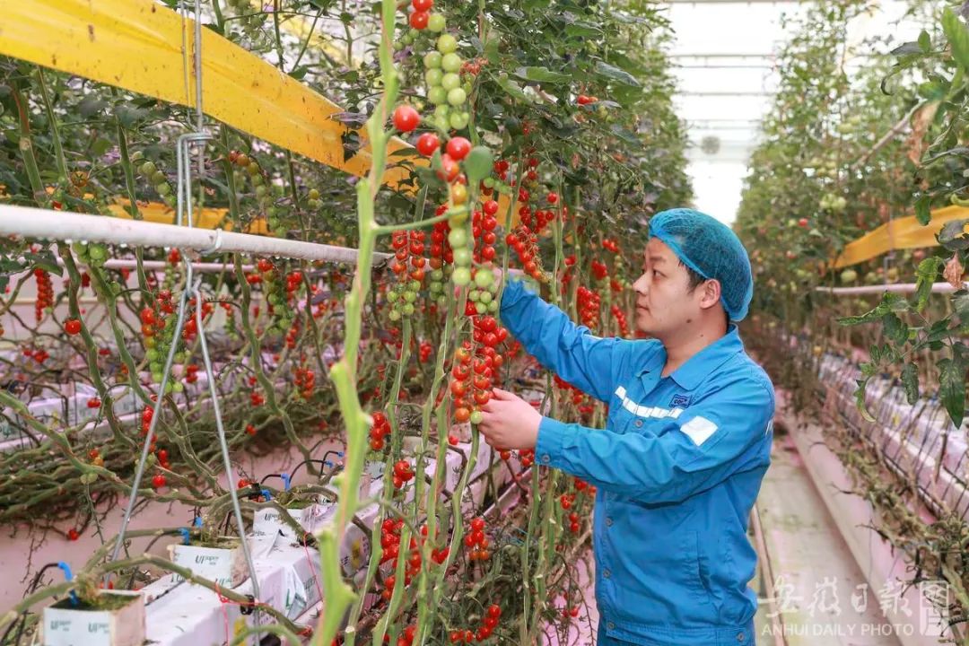 数说改革 | 向"绿"而行!安徽厚植高质量发展底色