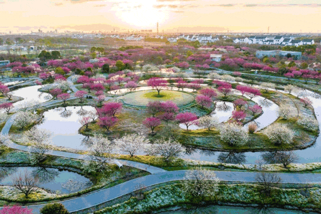 上海文旅局推暑期观光卡：199元起玩转上海，8条路线推荐