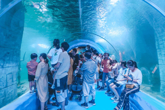 上海文旅局推暑期观光卡：199元起玩转上海，8条路线推荐