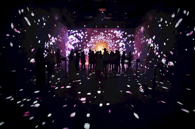 上海文旅局推暑期观光卡：199元起玩转上海，8条路线推荐