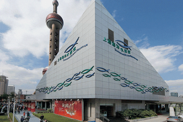 上海文旅局推暑期观光卡：199元起玩转上海，8条路线推荐