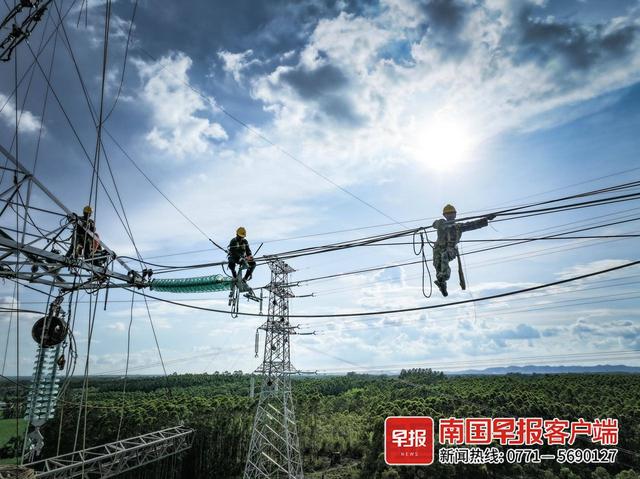 组图丨高压线上的"舞者"