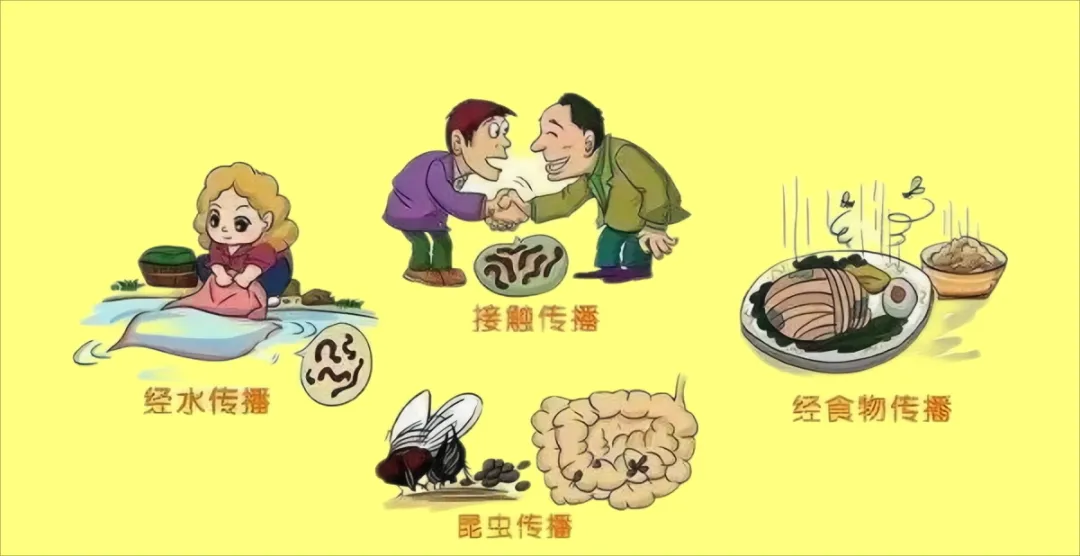 【提醒】炎炎夏日谨防肠道传染病!