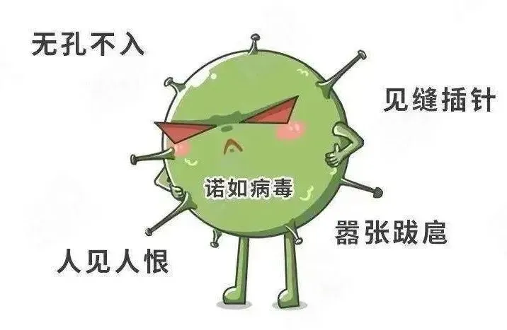 【提醒】炎炎夏日谨防肠道传染病!