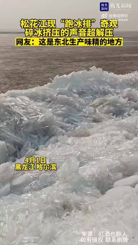 松花江现“跑冰排”奇观,碎冰挤压的声音超解压!这是东北生产味精的地方|味精_新浪新闻