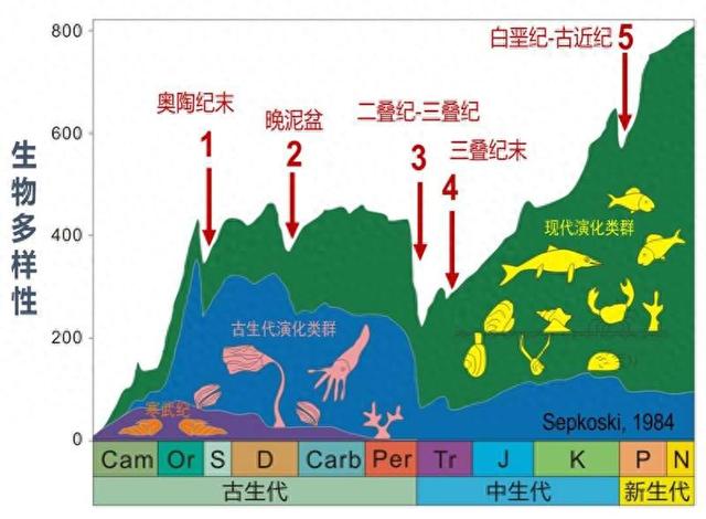 生物多样性变化与五次大灭绝.受访者供图
