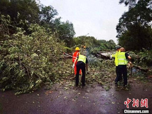成渝高速公路成都往重庆方向K2100+600米路段大量树木倒伏行车道内，救援人员清理排险。四川高速公安一分局一大队供图