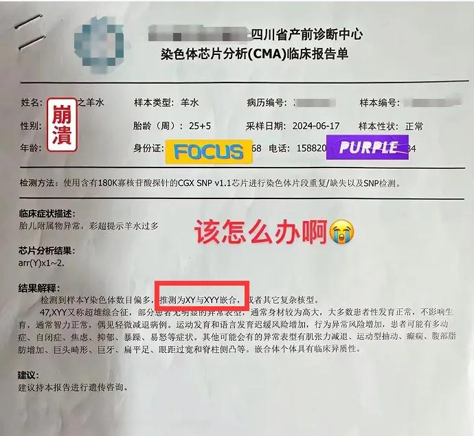 据陈女士发布的临床报告单显示,她已怀孕25 5周.