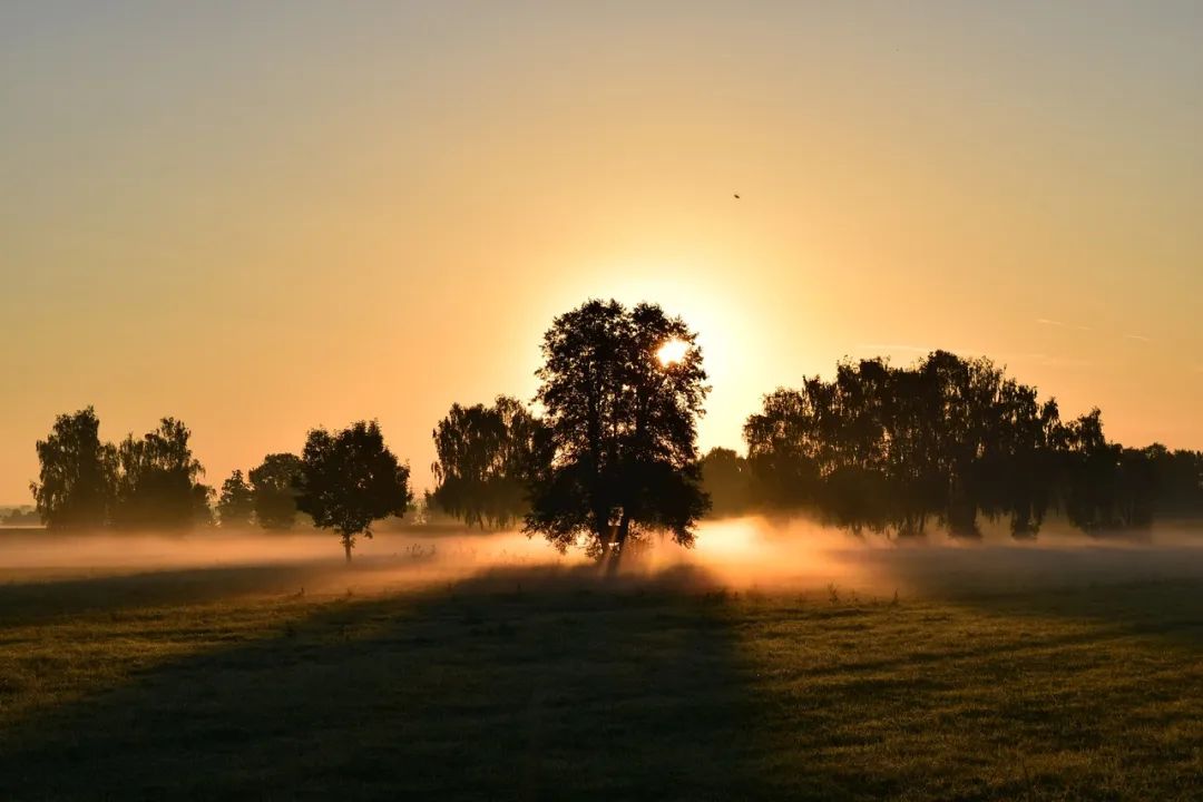 (图源:pixabay)