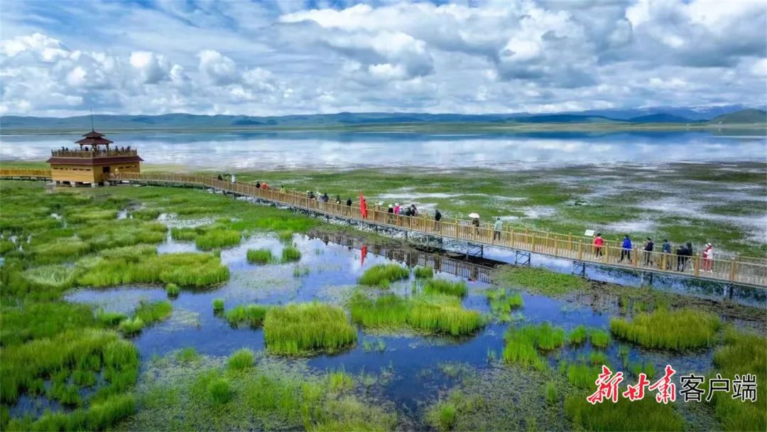 盛夏时节,碌曲县迎来旅游旺季,游客数量大幅上升,为给广大游客提供