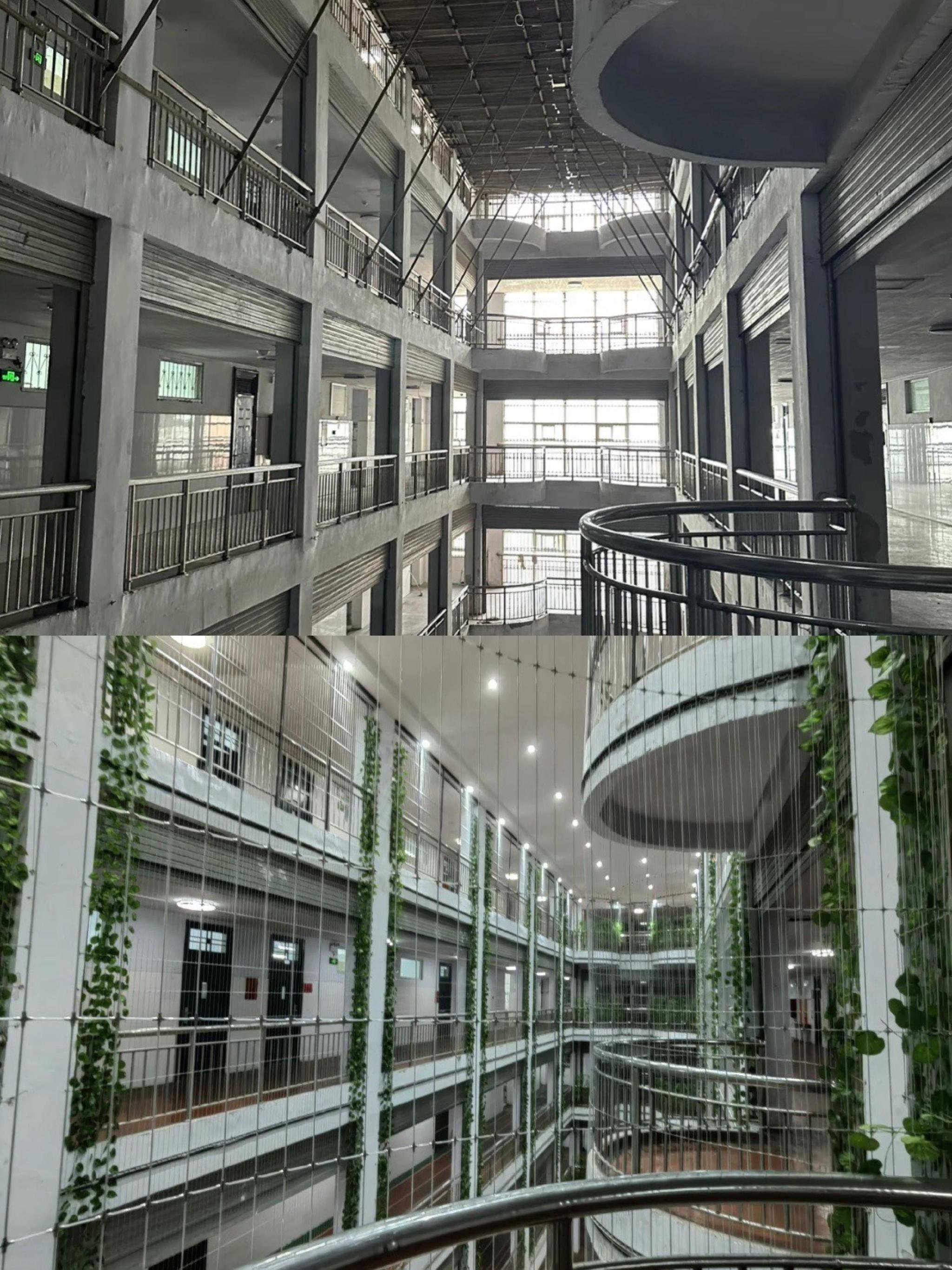 河南永城市一所中学安装防护网前后对比图。