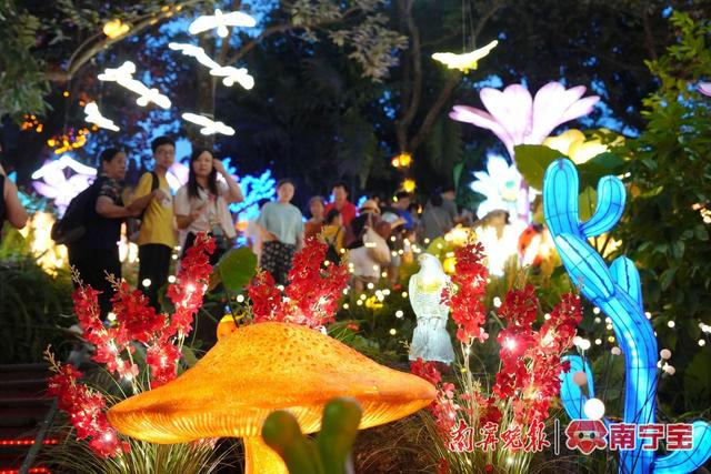 灯光场景,创意集市,特色美食!"南宁夜花园"即将开园,快来打卡