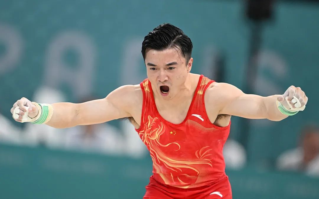 刘洋在吊环项目上的发挥比较完美.图/新华社