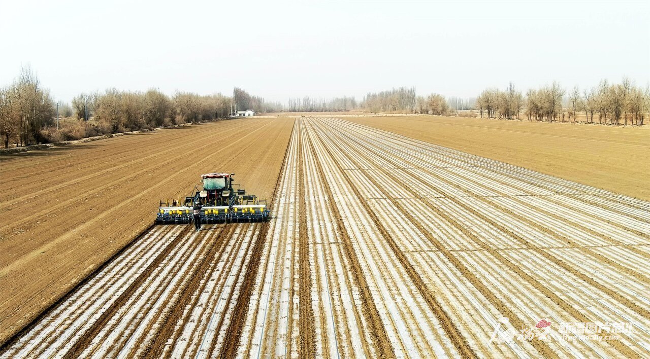 兵团第一师10团职工在高标准化农田里驾驶装备北斗导航的农机播种棉花