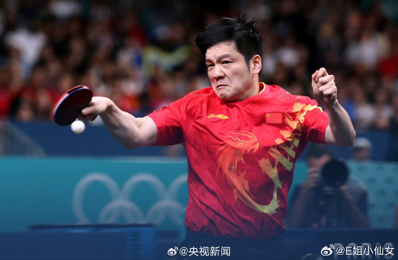关于乒乓🏓男单的外号，龙蟒獒我在第一次听的时候就秒get…|乒乓|樊振东|国乒_新浪新闻