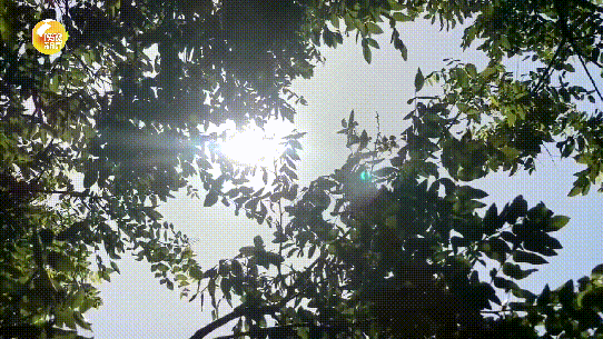 高温+雷暴！陕西新一轮降水过程即将上线，西安降雨时间→-陕西西安强降雨致道路积水 交通出行受到影响