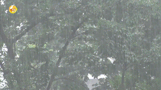 高温+雷暴！陕西新一轮降水过程即将上线，西安降雨时间→-陕西西安强降雨致道路积水 交通出行受到影响