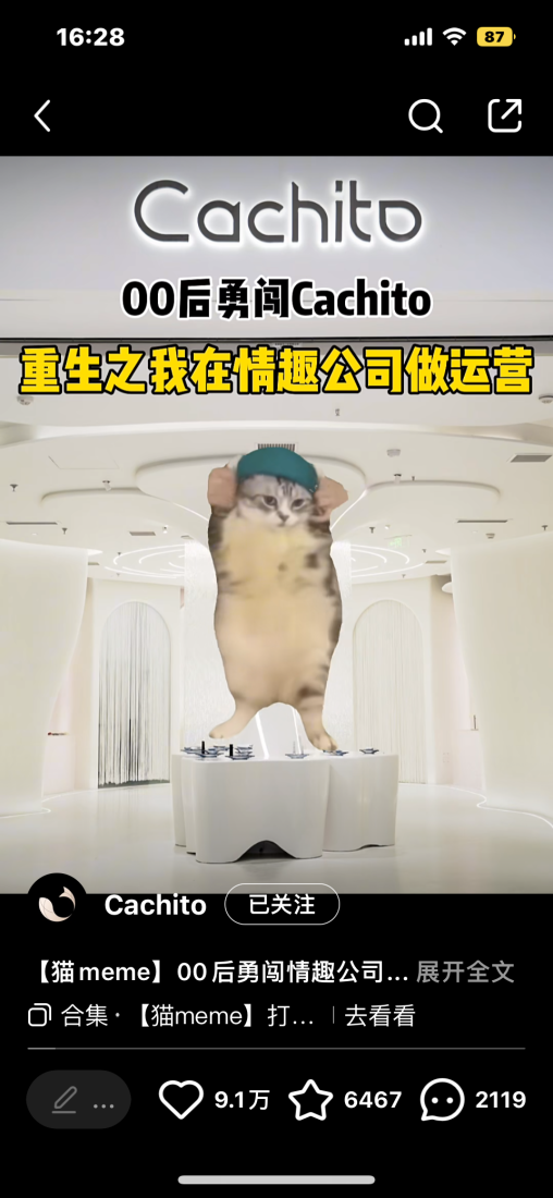 图源：小红书截图