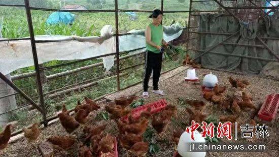 安图县委宣传部/供图