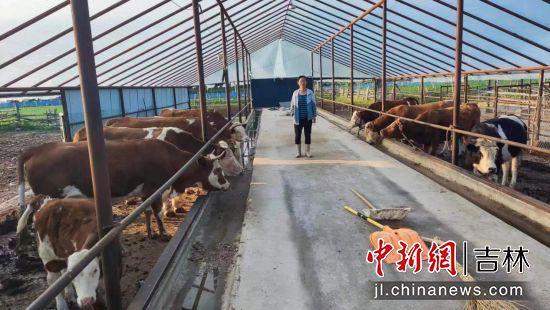安图县委宣传部/供图
