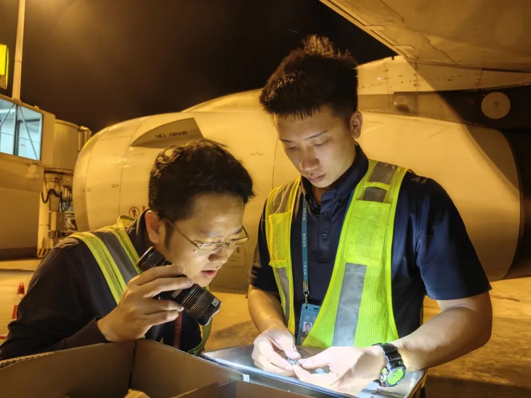 跟着南航机务一起看大片