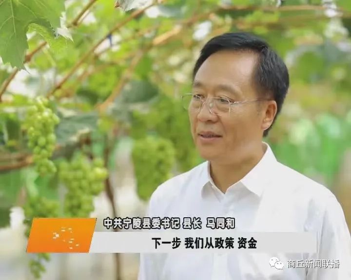 马同和还曾和蔡勇搭档——马同和在2021年出任宁陵县委书记,当时的