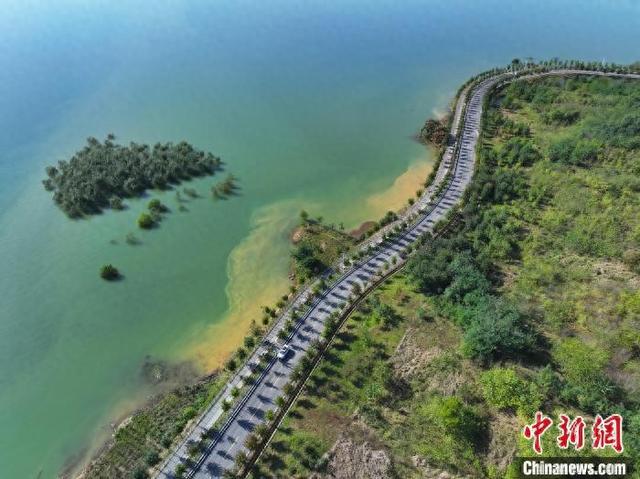 河南淅川:生态廊道扮靓丹江湖畔