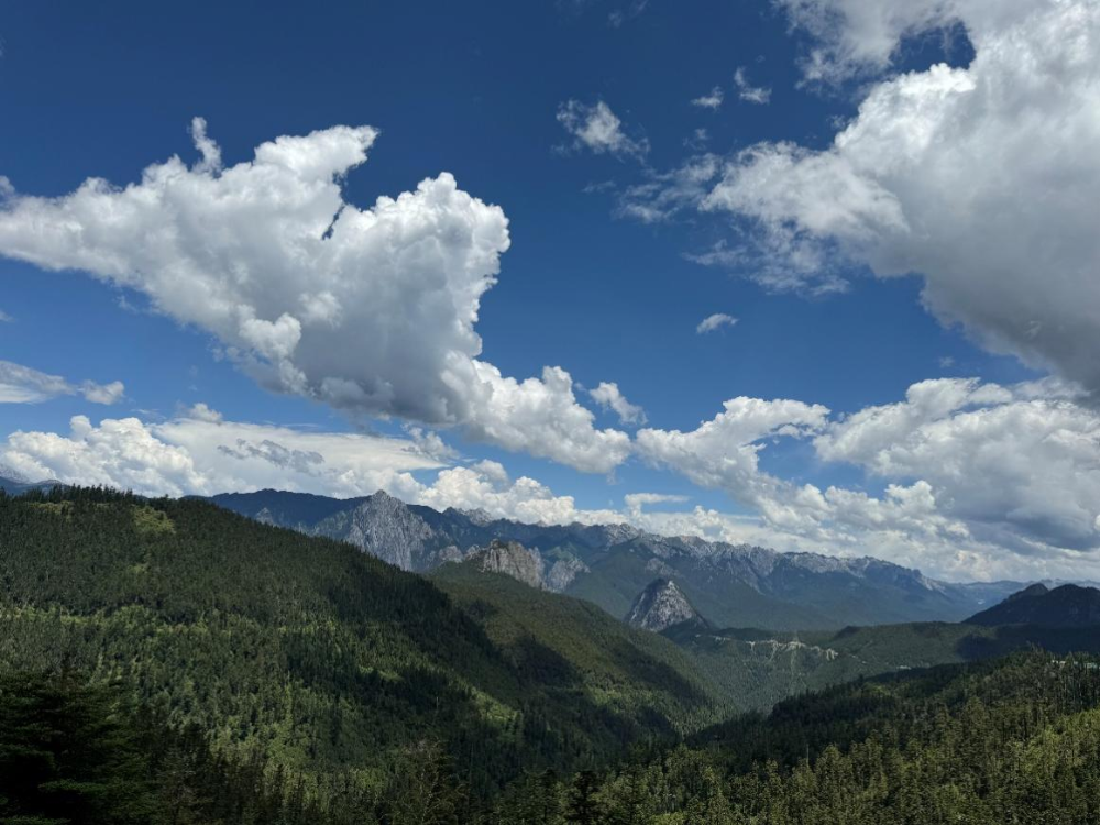 ▲包围翁水村的崇山峻岭是孕育松茸的摇篮。刘浩 | 摄