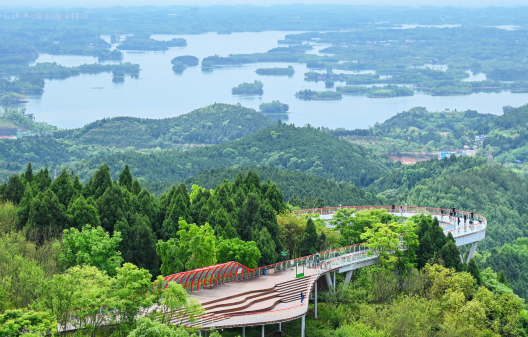 成都龙泉山城市森林公园