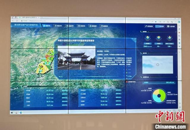 图为南华县野生菌产业数字化云平台。中国移动云南公司南华分公司供图