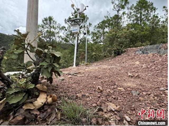 图为安置于楚雄州南华县雨露乡洒披武村的野生菌智能环境“一体式”监测系统。中国移动云南公司南华分公司供图