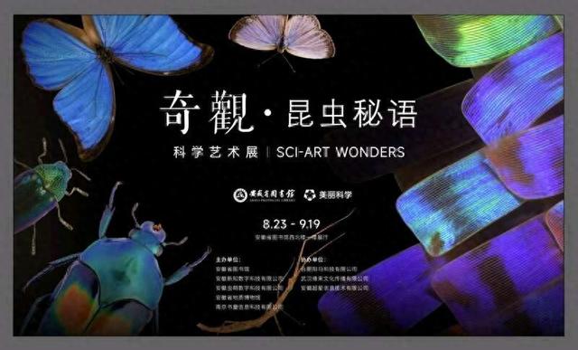 “奇不雅”展海报。安徽省藏书楼供图