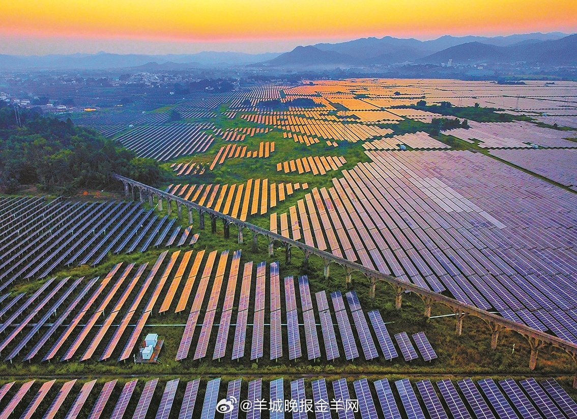 抖音seo机构哪家技术好