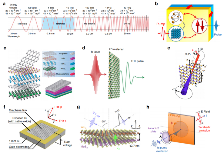 （来源：Light: Science & Applications）