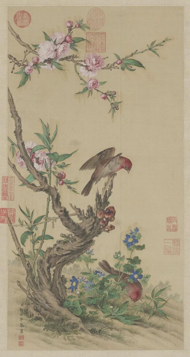 故宫博物院藏 花鸟图